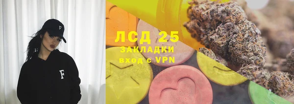 PSILOCYBIN Богданович
