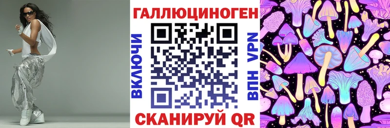 где продают   Шатура  Галлюциногенные грибы Cubensis 